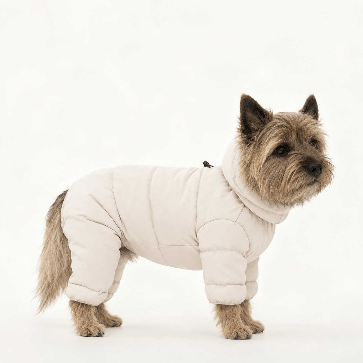 Warm Waterproof Small Dog Raincoat & Puffer Jacket with Hood for Winter Walks
