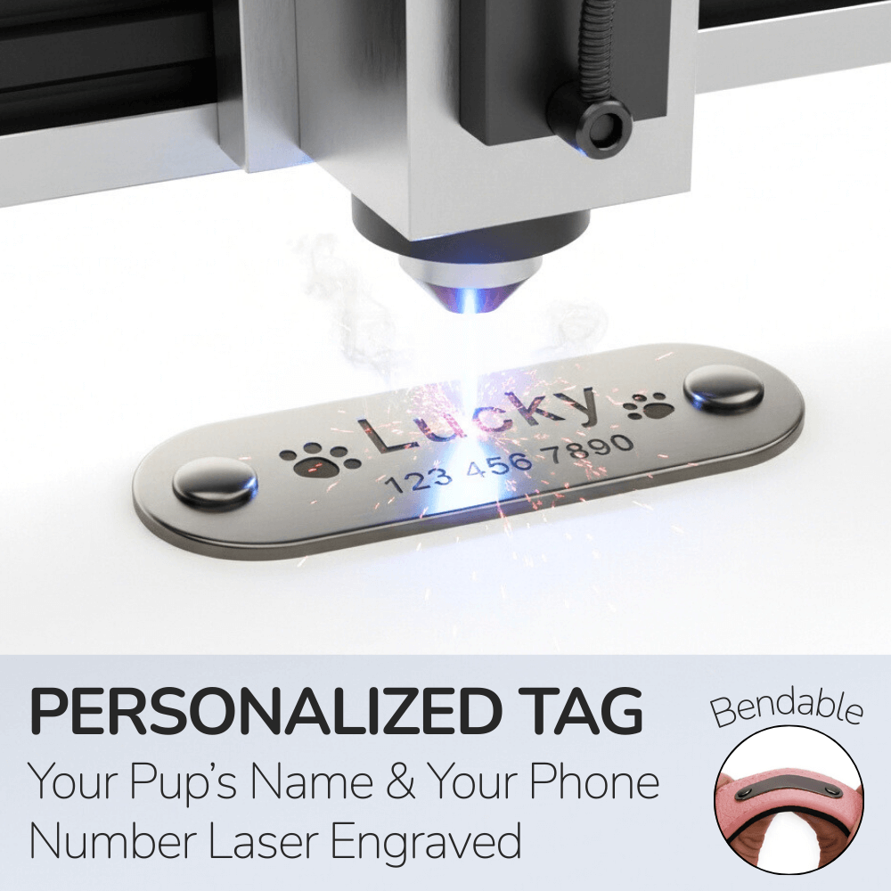 Minimalist Custom Nameplate Dog Collar