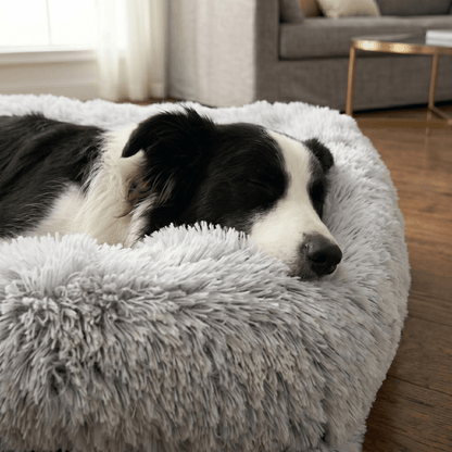 Orthopedic Plush Bolster Dog Bed