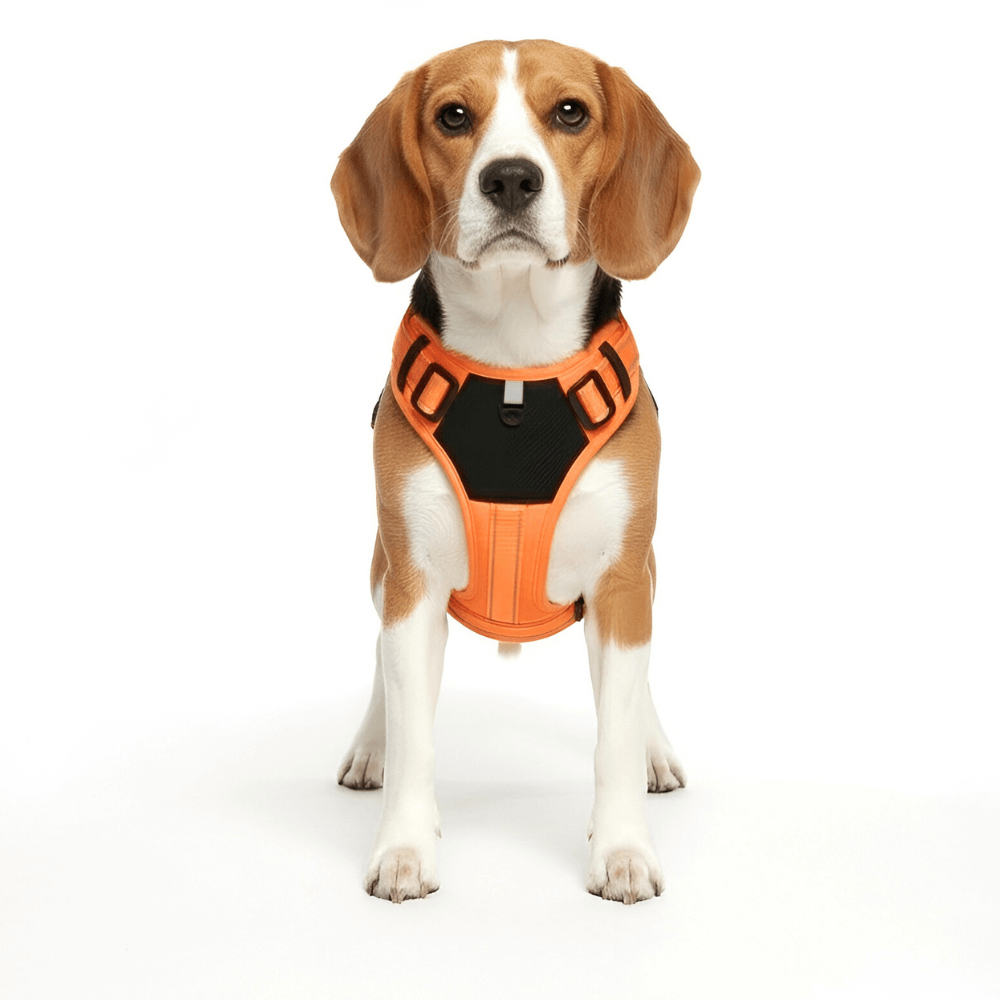 No-Pull Tactical Dog Harness