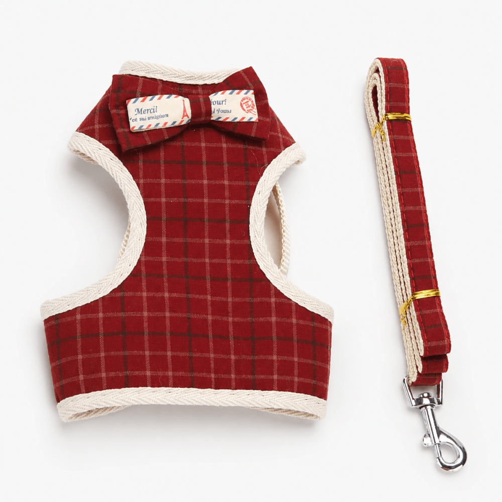Small Bow Tie Pet Harness & Lead Set
