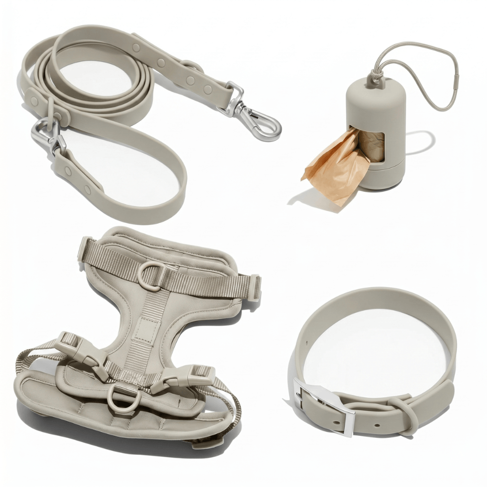 4-Piece Dog Harness & Lead Set