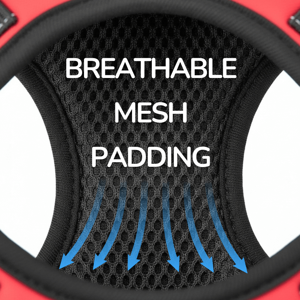 All-In-One Adventure Dog Harness