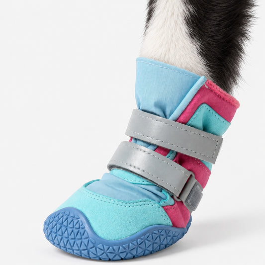 Dog shoe worn on a paw
