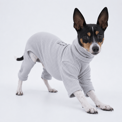 Cosy & Stylish Dog Onesie with Turtleneck