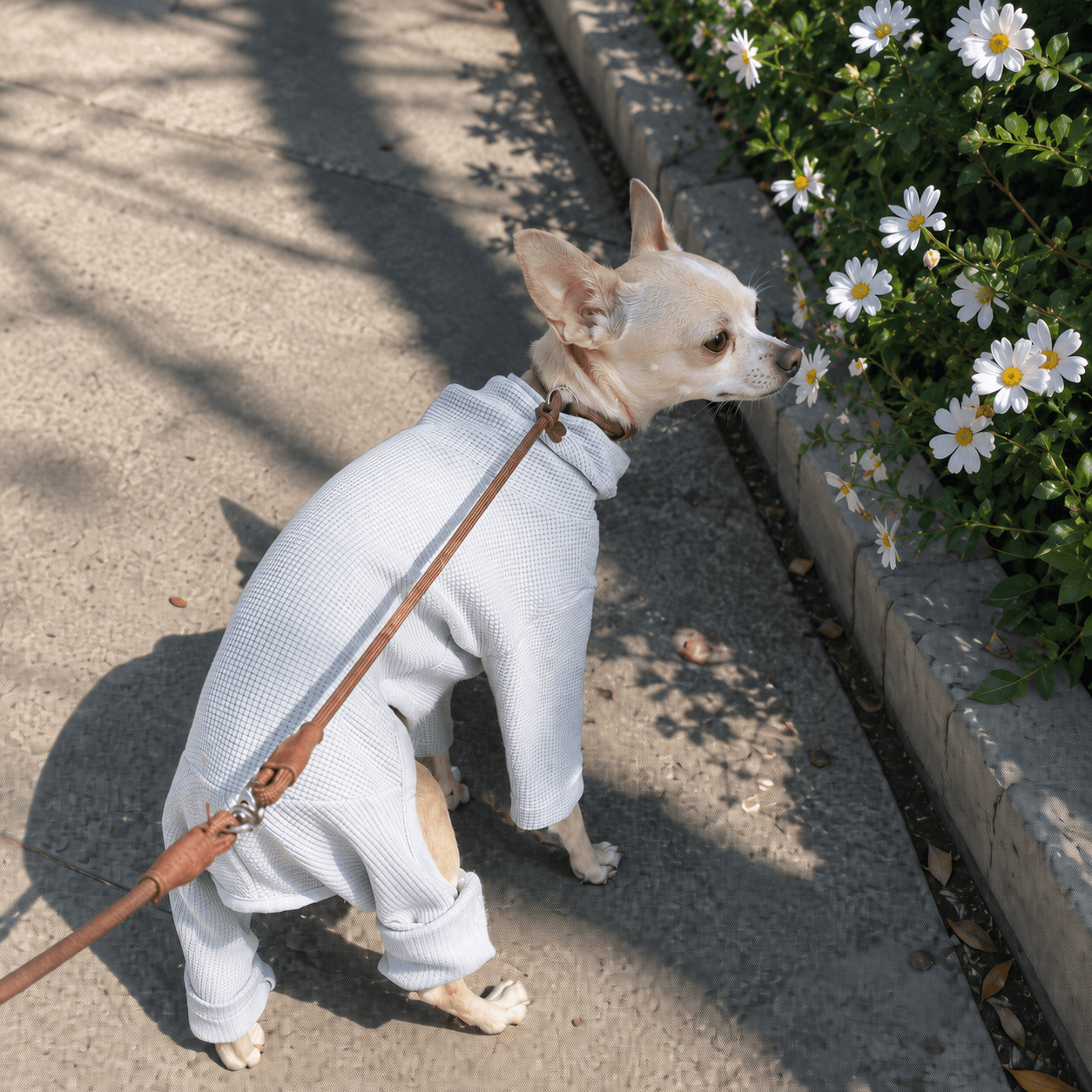 Cosy & Stylish Dog Onesie with Turtleneck
