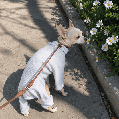 Cosy & Stylish Dog Onesie with Turtleneck