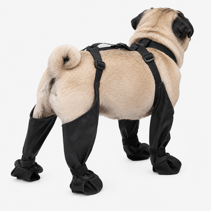 Waterproof Black Dog Boots for Winter