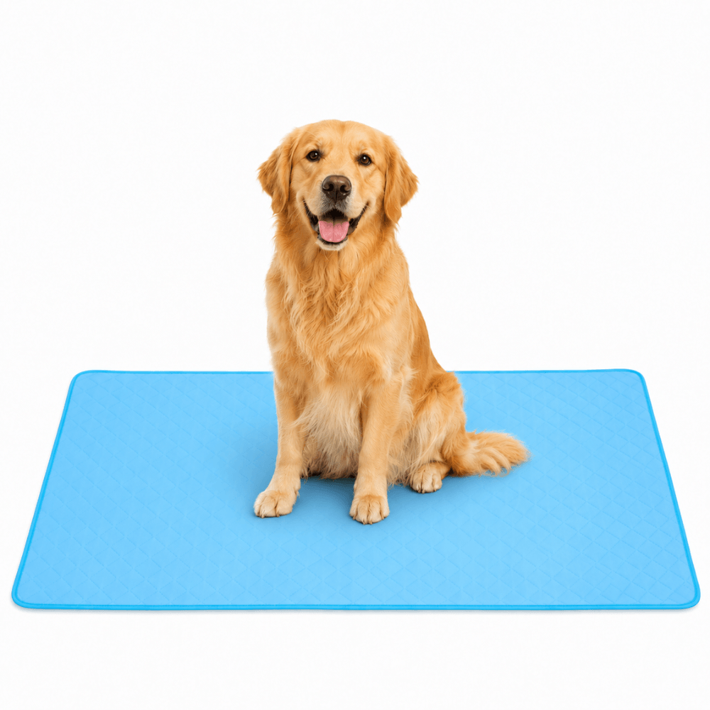 4-Layer Dog Cooling Mat