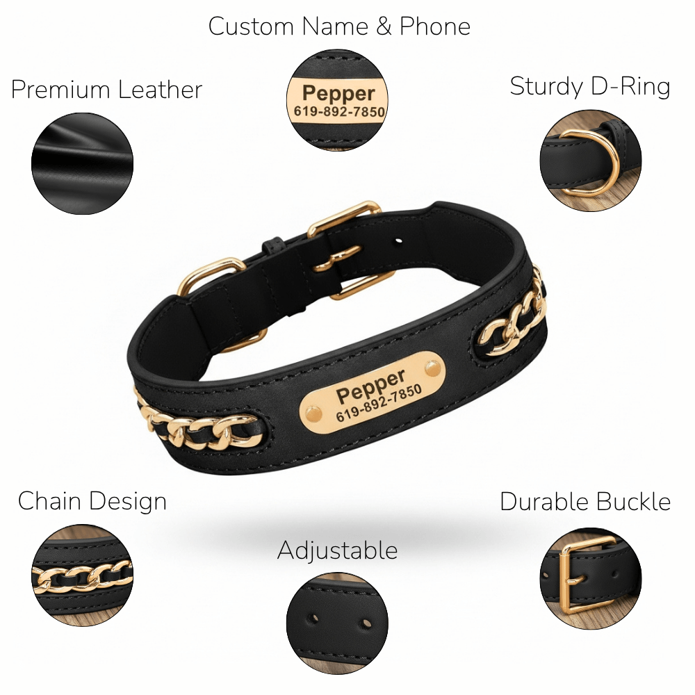Premium Leather Custom Nameplate Collar