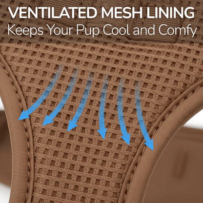 Feather-Light No-Pull Harness