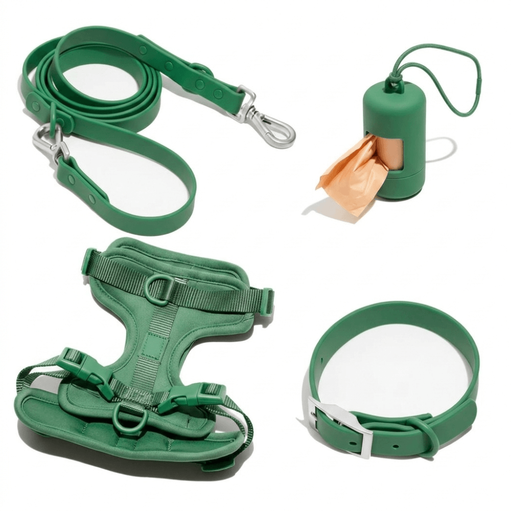4-Piece Dog Harness & Lead Set