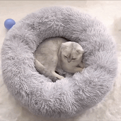 Fluffy Round Donut Cat Bed
