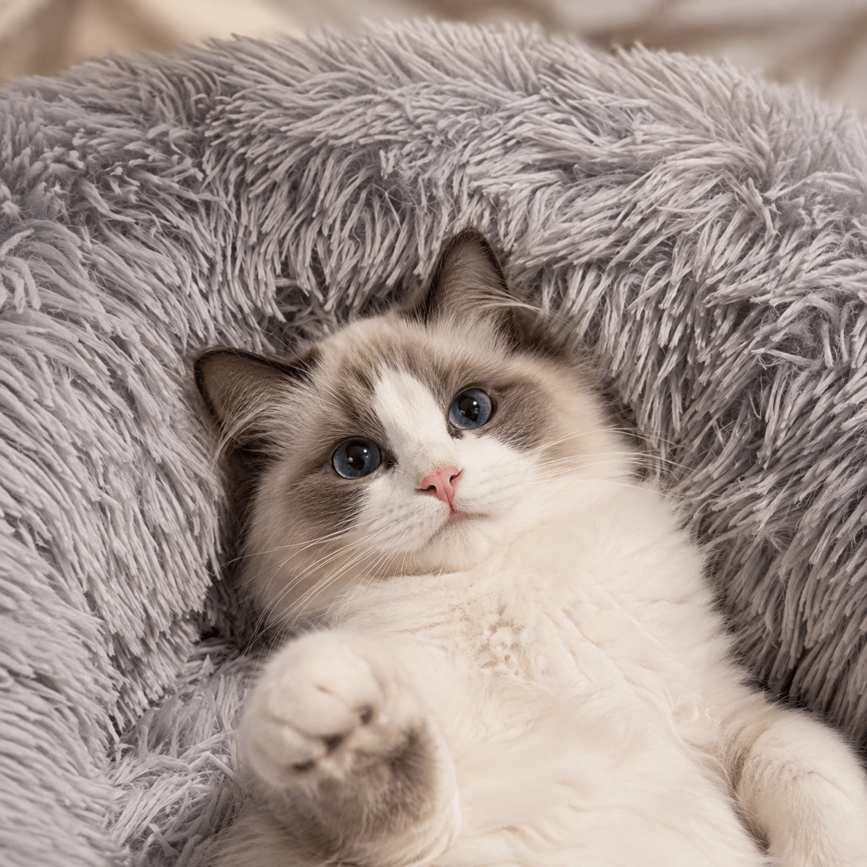 Fluffy Round Donut Cat Bed