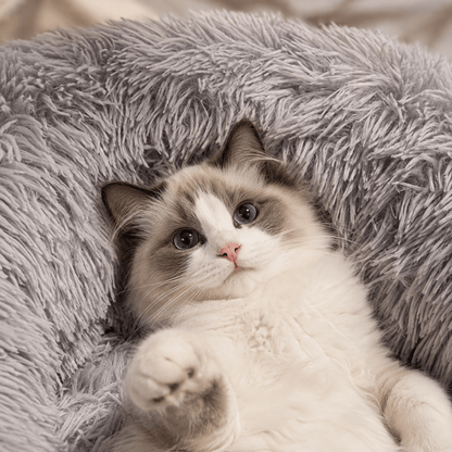 Fluffy Round Donut Cat Bed