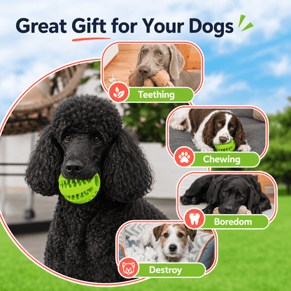 Dog Treat Ball Chew Toy for Dental Teeth Cleaning and Puppy Teething