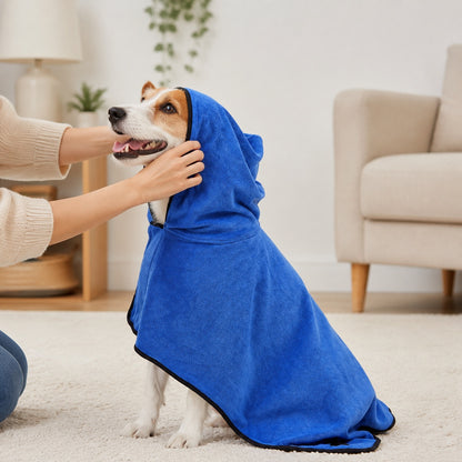Jack Russell terrier wearing blue drying robe