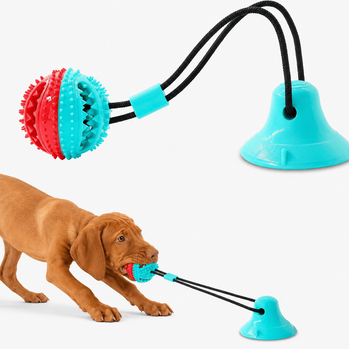 Dog Treat Ball Chew Toy with Suction Cup