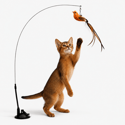 Interactive Flying Bird Cat Toy with Suction Base