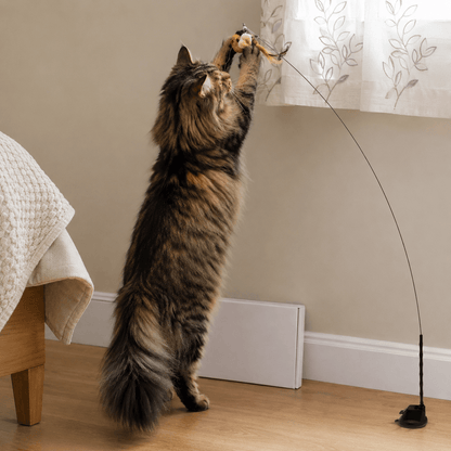Interactive Flying Bird Cat Toy with Suction Base