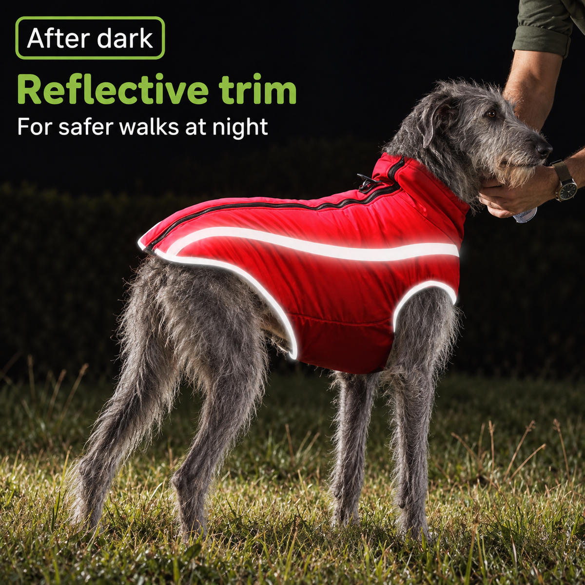 Waterproof Reflective Winter Dog Jacket & Coat with Warm Cotton Lining and Adjustable Neck