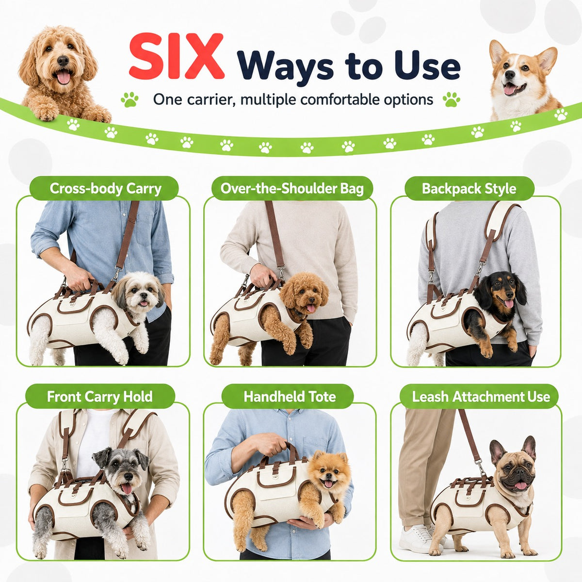 Six ways to use pet carrier infographic
