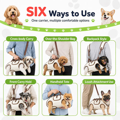 Six ways to use pet carrier infographic