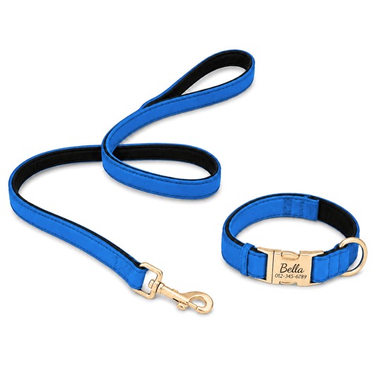 Custom Laser-Engraved Dog Collar & Lead Set
