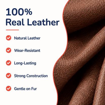Genuine Leather Dog Collar & Lead Set