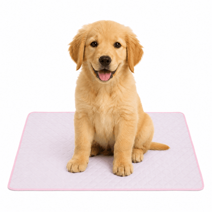 4-Layer Dog Cooling Mat