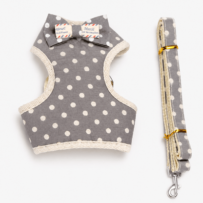 Small Bow Tie Pet Harness & Lead Set
