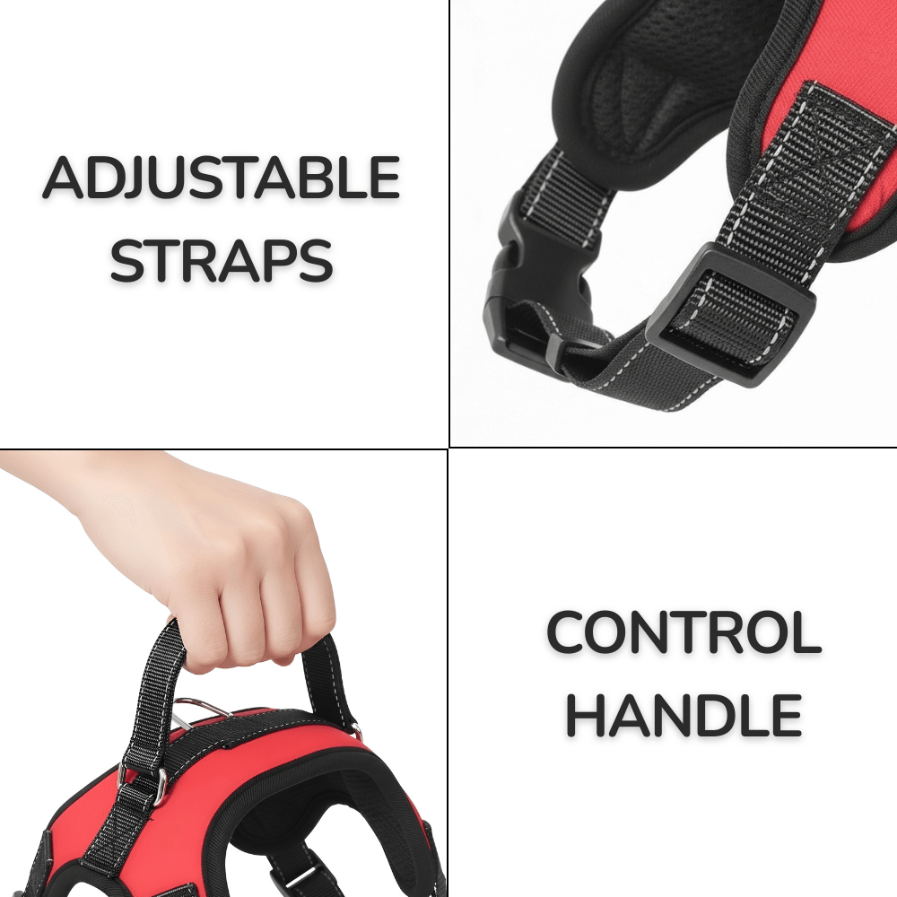 All-In-One Adventure Dog Harness