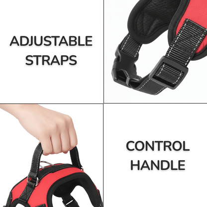 All-In-One Adventure Dog Harness