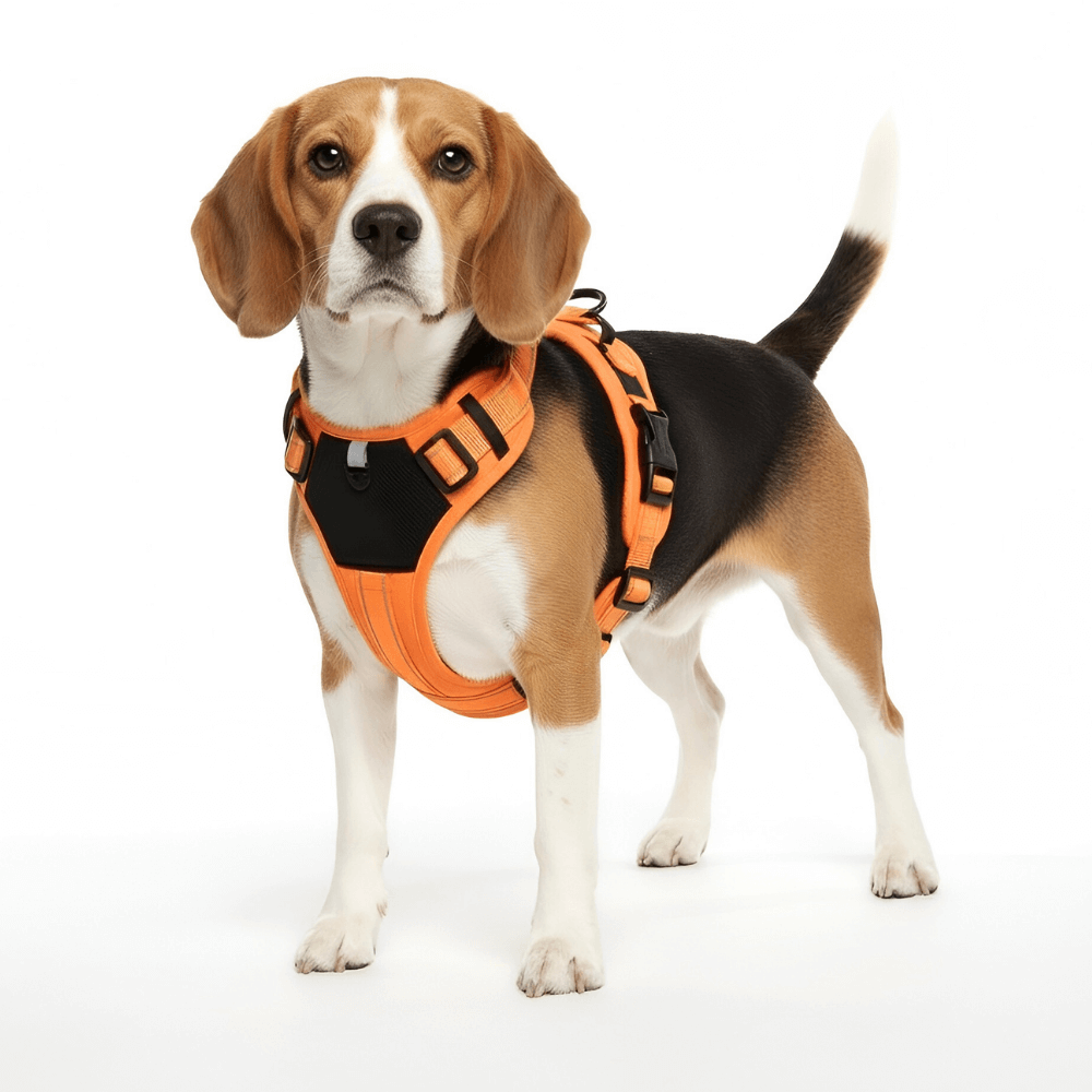 No-Pull Tactical Dog Harness