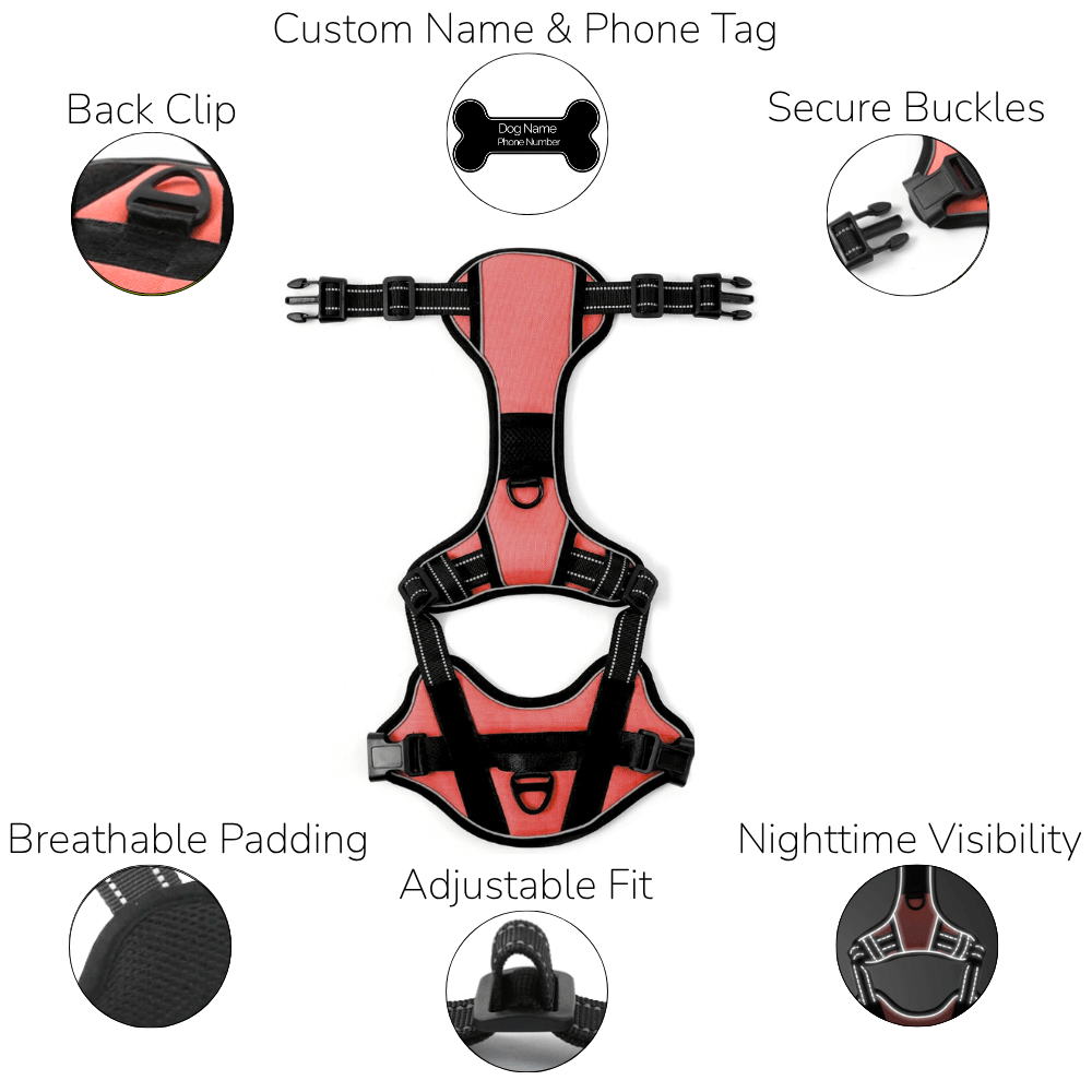 Custom Name No-Pull Dog Harness