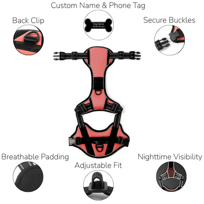 Custom Name No-Pull Dog Harness