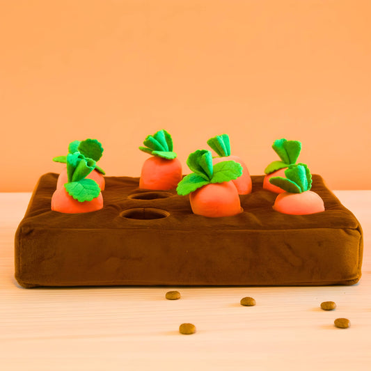 Boredom-Buster Snuffle Mat Carrots Edition