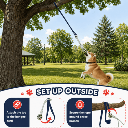 Dog Interactive Bungee Tug Toy with Chew Rope & Treat Ball