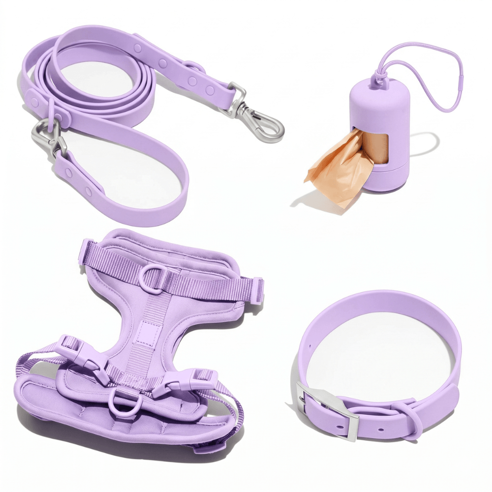 4-Piece Dog Harness & Lead Set