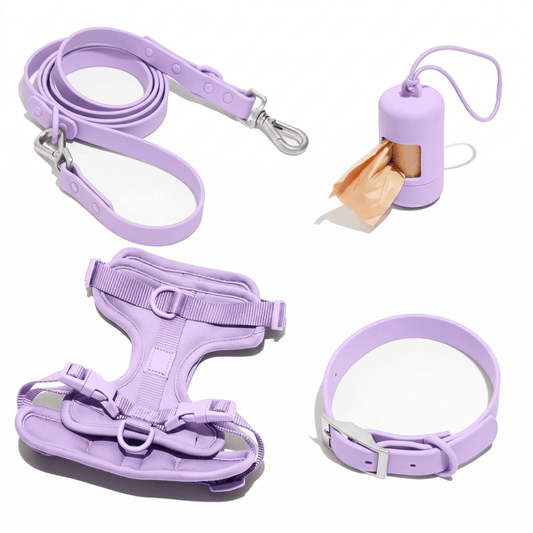 4-Piece Dog Harness & Lead Set