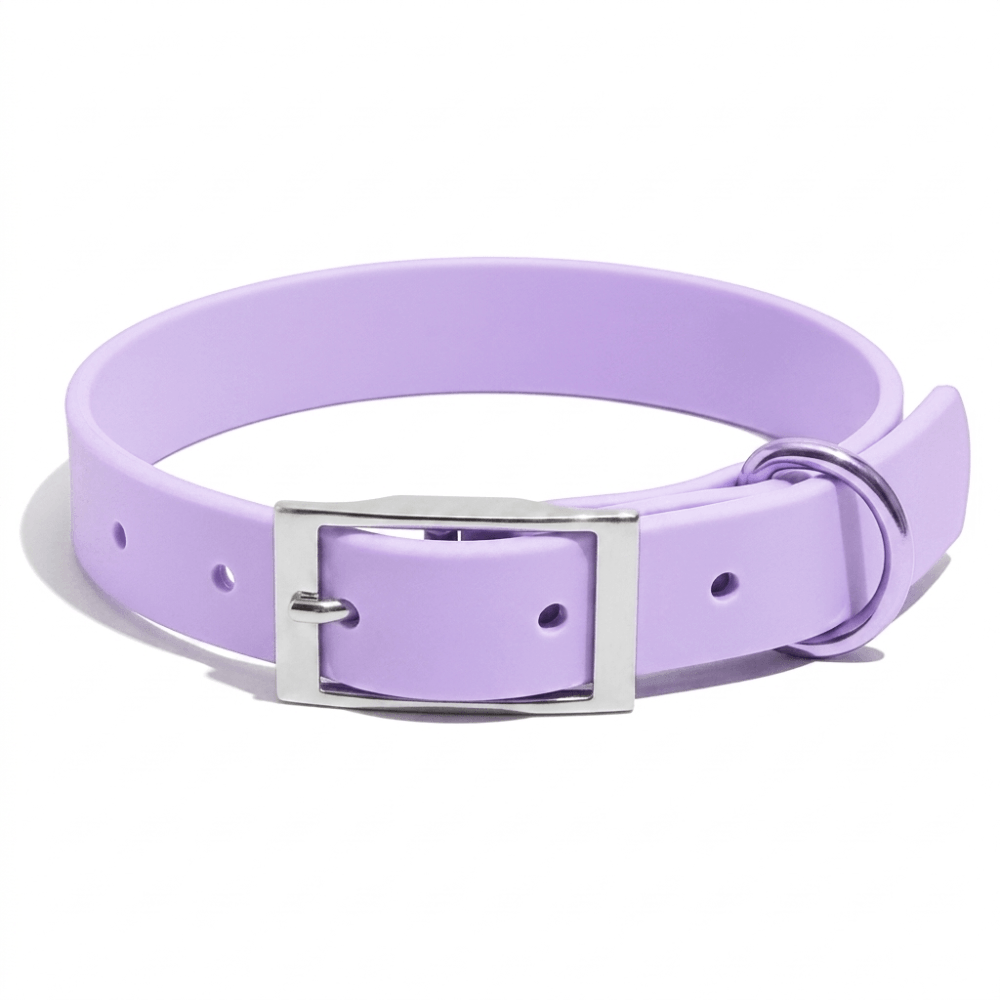 4-Piece Dog Harness & Lead Set