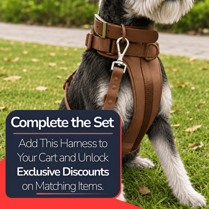 No-Pull Comfort Dog Harness