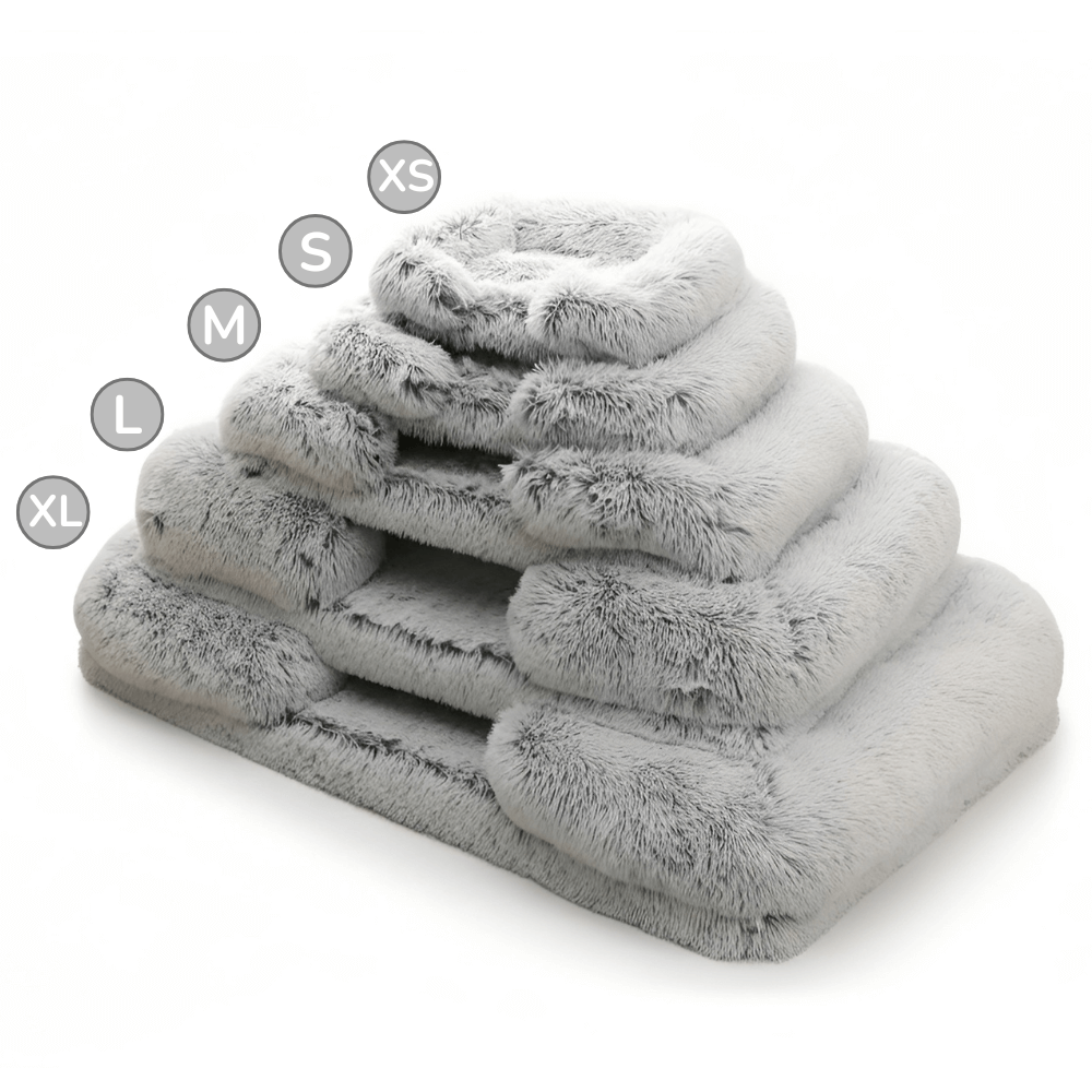 Orthopedic Relief Dog Bed