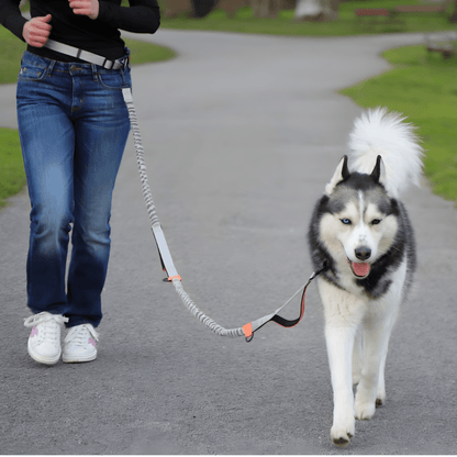 Hands-Free Waist Dog Lead