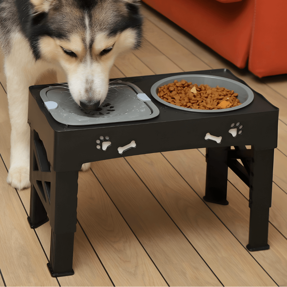 3-in-1 Adjustable Dog Bowl Stand