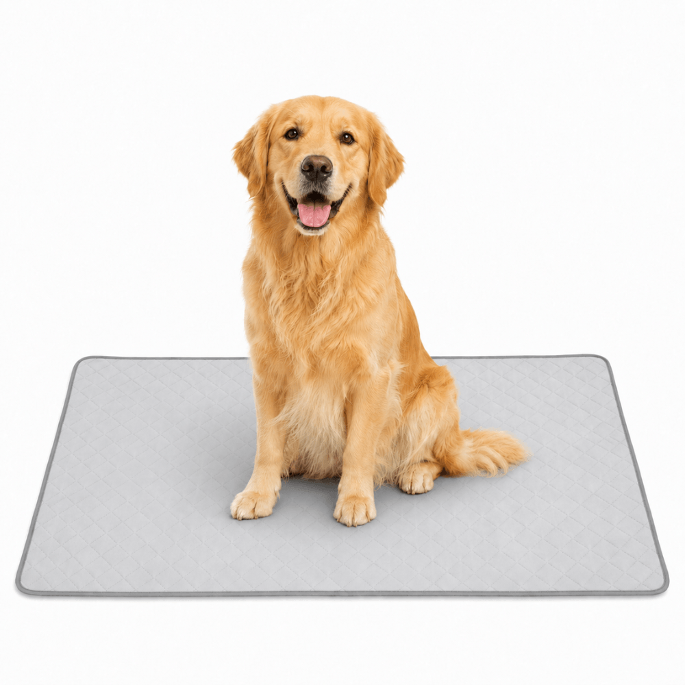 4-Layer Dog Cooling Mat
