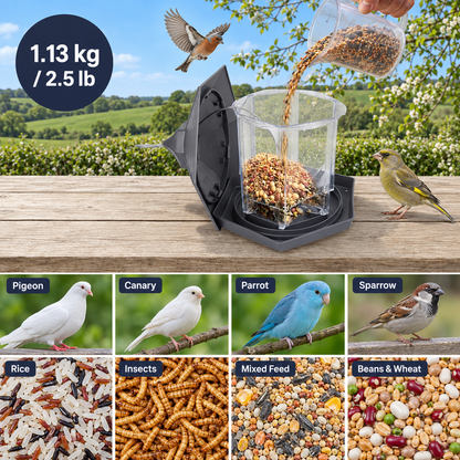Large Squirrel Proof Hanging Bird Feeder with 2.5 lb Capacity & Transparent Chamber
