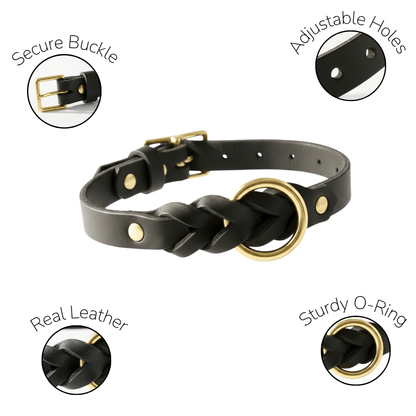 Classic Braided Leather Dog Collar