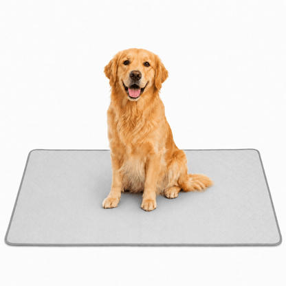 4-Layer Dog Cooling Mat
