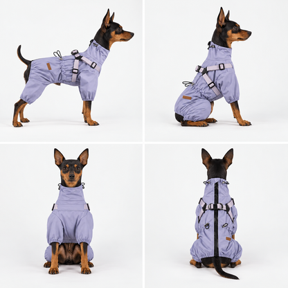 Front, back and side views of the purple dog raincoat